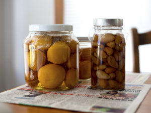 Voedsellab: Workshop Fermenteren