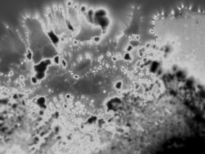 Dansende Leegte: interactieve lezing #2