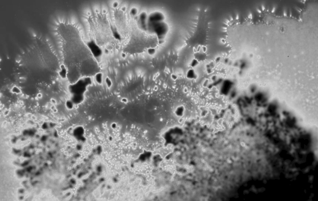 [:nl]Dansende Leegte: interactieve lezing #2[:]