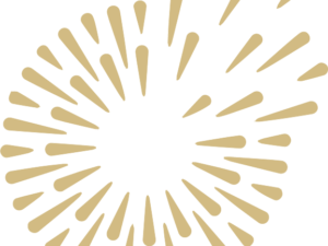 IS ONZICHTBARE ENERGIE ECHT ONZICHTBAAR? - workshop