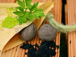 Workshop Moestuinieren voor kinderen met Chantal