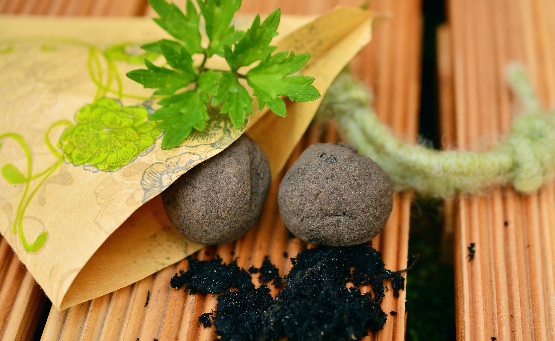 Workshop Moestuinieren voor kinderen met Chantal