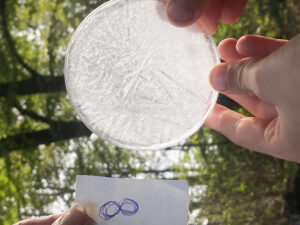 KAN IK MET WATER PRATEN? – LIGHT TRIBE!