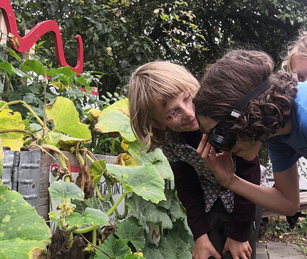 IS ONZICHTBARE ENERGIE ECHT ONZICHTBAAR? - Light Tribe