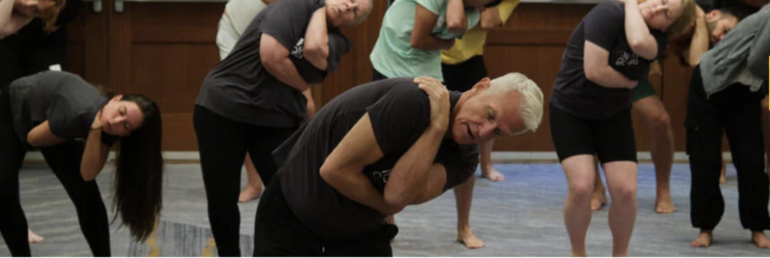 Human Garage: Fascial Maneuvers class - Hollandia