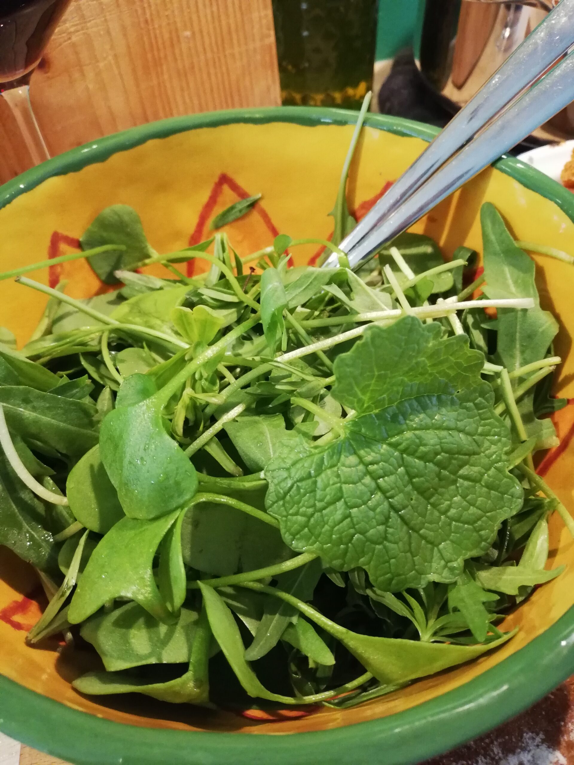 Wildplukwandeling door Rijnvliet met Fem´s Food op 5 & 6 april